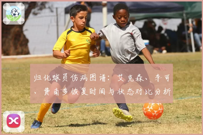 归化球员伤病图谱:艾克森、李可、费南多恢复时间与状态对比分析