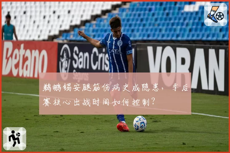 鹈鹕锡安腿筋伤病史成隐患，季后赛核心出战时间如何控制？