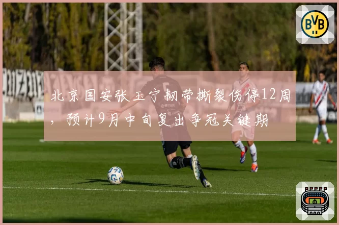 北京国安张玉宁韧带撕裂伤停12周，预计9月中旬复出争冠关键期